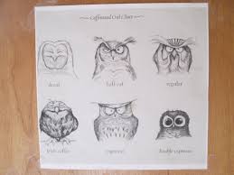 Caffeinated Owl Chart Spotted At Coffee Shop Sisters