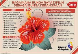 Bagaimana Bunga Raya Dipilih Sebagai Perpustakaan Kuala Lumpur Facebook