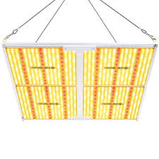 Many growers use these leds in 4 x 4 feet tent for vegetation only and the result is satisfactory. Best King Led Grow Light Review 2021 Green Thumb Gardener