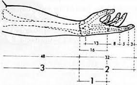 Se dau n numere naturale. Http Www Ct Asachi Ro Request Php 28