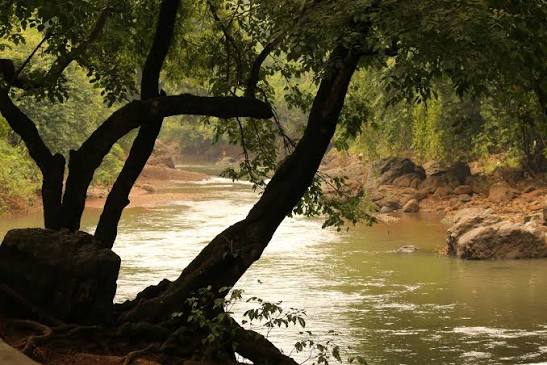 Sanjay Gandhi National Park - Mumbai's wild side, surprisingly close by.