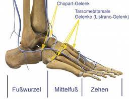 Fusswurzelarthrose Arthrose Des Lisfranc Gelenks Gelenk Klinik De