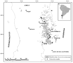 The boundary treaty of 1881 (spanish: 9 Mapa De Distribucion De Araucaria Araucana En Chile Y Argentina Download Scientific Diagram