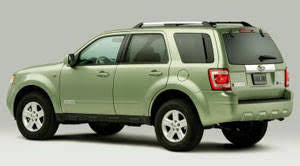 Image result for Kiwi Green 2008 Escape