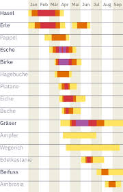 Sie werden leicht mit der watteartigen pappelwolle verwechselt. Heuschnupfen Und Corona Gleichzeitig Was Pollenallergiker Jetzt Wissen Mussen Tages Anzeiger