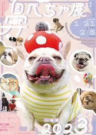 Todays Gallery Studio.