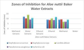 Image result for Aloe nuttii