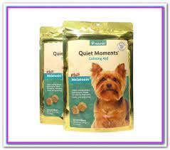 Best Dog Food For Yorkies South Africa Illegal In A Lot Of Countries Around The World Including So Sensitive Stomach Cat Food Best Dog Food Dog Food Recipes