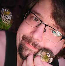 I'm high and crying over animal videos