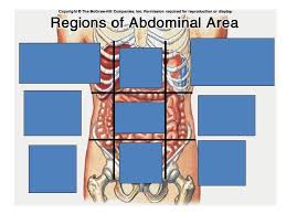 Click again to see term 👆. Directional Terms The Anatomical Position Of The Body