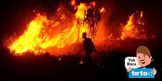 4.) pada tahun 2014, riau pernah dilanda kebakaran hutan. Kebakaran Hutan Dan Lahan Di Sumatera