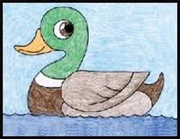 If you've never draw a duck before, you can start with the easy method and move onto the harder when you're drawing a cute duckling, you don't have to worry about making it too realistic, so you. How To Draw Ducks Drawing Tutorials Drawing How To Draw Ducks Baby Ducklings Drawing Lessons Step By Step Techniques For Cartoons Illustrations Sketching