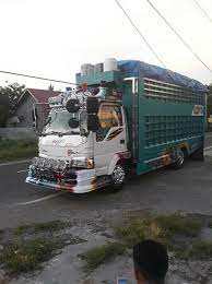 Autouncle is dein unabhängiger berater für die besten auto deals. Isuzu Elf Nkr 71 Modif Sulsel Modifikasi Truk Sulawesi ÙÙŠØ³Ø¨ÙˆÙƒ