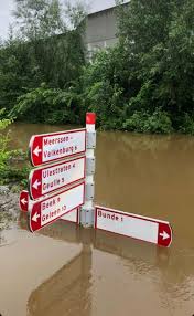 Calul de dar nu se caută la dinți spune un vechi proverb românesc referindu se la faptul că nu este. Icsucnfwrejozm