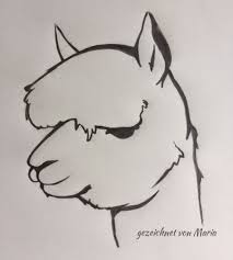 Alpaka Zeichnung Webertal Alpakas