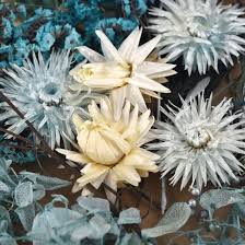 Check spelling or type a new query. 1pack Preserved Flower Dried Flowers For Diy Resin Crafts Making Fit Aromatherapy Candle Epoxy Frame Embossing Decoration Hot Offer 45e4cf Goteborgsaventyrscenter