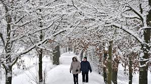 Kouká na syna, uši napíná, co to slyší v rolničkách? Vanoce Na Blate Meteorologove Snih V Nizinach Na Svatky Neocekavaji Hospodarske Noviny Ihned Cz