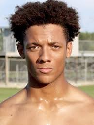 Brandon Logan, Notre Dame, Safety