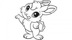 Pin En Rincon De Rabit
