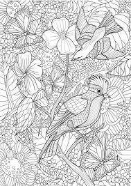 Od jakiegoś czasu rekordy popularności biją antystresowe kolorowanki dla dorosłych. Kolorowanki Dla Doroslych Relaksacyjne Malowanki Do Wydrukowania