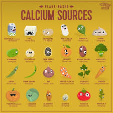Vegan Calcium Sources Who Needs Dairy You Can Find Anything You Need On A Plant Based Diet Vegan Calcium Sources Vegan Calcium Vegan Nutrition