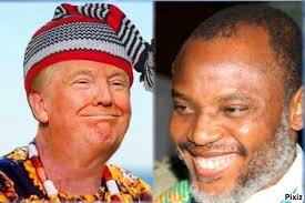 Image result for nnamdi kanu