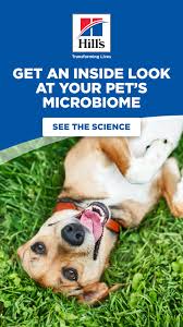 Understanding Your Pet S Microbiome Hill S Pet Cute Dog Collars Cute Little Animals Cute Funny Animals