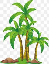 Coconut tree clipart png vector graphics (569 results ). Vector Coconut Tree Images Vector Coconut Tree Transparent Png Free Download