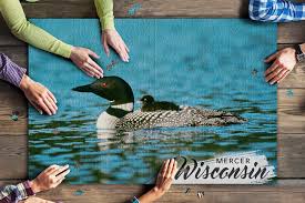 Native to countries in asia, these birds are often seen in zoos. Mercer Wisconsin Loon And Chick 20x30 Premium 1000 Piece Jigsaw Puzzle Made In Usa Walmart Com Walmart Com