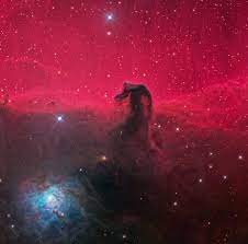 The horsehead nebula, also known as barnard 33 in bright nebula ic 434, is a dark nebula in the constellation orion. Horsehead Nebula Wikipedia