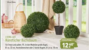 Aldi nord prospekt und angebote für lemgo: Living Art Kunstlicher Buchsbaum Angebot Bei Aldi Nord