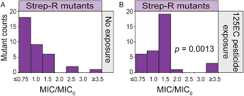 Arizona bed bug information center. Exposure To Environmental Level Pesticides Stimulates And Diversifies Evolution In Escherichia Coli Towards Greater Antibiotic Resistance Biorxiv