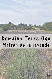 Epingle Sur Destination France