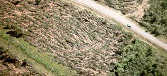 Because we are just that hard core. Severe Weather Hazards North Carolina Climate Office