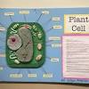 Maybe you would like to learn more about one of these? 1