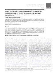 They offer garage organization, mattress cleaning not looking for home cleaning services in claremore, ok? Pdf Insect Vectors And Current Management Strategies For Diseases Caused By Xylella Fastidiosa In The Southern United States