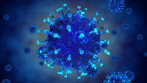 774,097 likes · 8,618 talking about this. Herpes Simplex Virus 1 Lysate Antigen The Native Antigen Company