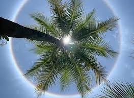Bengaluru is witnessing a 'sun halo' due to which a circular ring is being seen around the sun resembling a pale rainbow. Bpiqg9qq9m1fdm