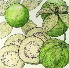 Image result for Selago lacunosa