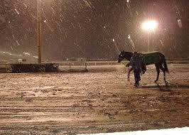 El sábado es probable que algunos copos de nieve caigan en la pampa y sobre el sur de la provincia de buenos aires. Nieve En Palermo Buenos Aires America South America Caribbean