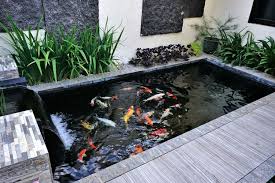 Di sini peran mama sangat penting untuk meluluhkan hati anak agar mau pakai pelampung, tentunya agar ia lebih aman di kolam renang. 9 Alasan Mengapa Perlu Memiliki Kolam Ikan Di Rumah Halaman All Kompas Com
