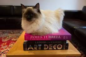 We use the same paper that glossy coffee table books are printed on; Print Your Pdf Into A Coffee Table Book Peecho
