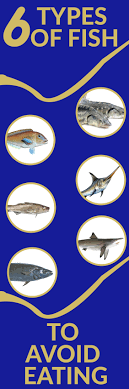 6 Types Of Fish To Avoid Eating Types Of Fish Fish Eat