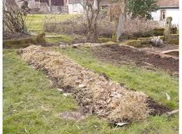 De belles graines au service de notre santé. La Culture En Lasagne Une Technique De Jardinage Ecologique