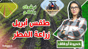 الفول السودانى - saivaaracottages.fi