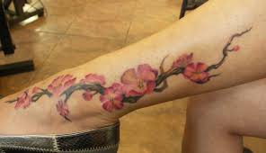 images?q=tbn:ANd9GcQWbEVe3GLxxOi3OmQ_7EbcoCfXG9GT7EfgvIHtA7hXIPIImhe9