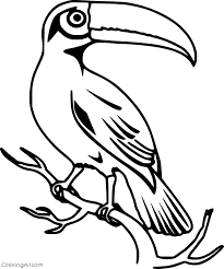 Toucans have a very large beak of bright yellow color, slightly compressed on both sides. Toucan Coloring Pages Coloringall