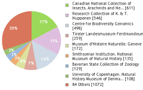 Image result for Scythris crypta