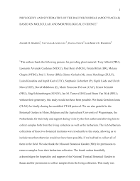 Image result for Callichilia orientalis