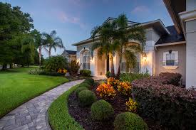 7 Of The Best Palm Trees For Your Central Fl Landscaping Grasses and a serviceberry bush provide.